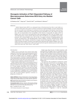 Oncogenic Activation of Pak1-Dependent Pathway of Macropinocytosis Determines BCG Entry Into Bladder Cancer Cells