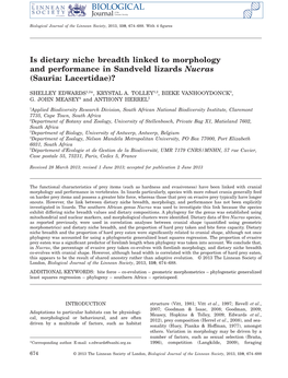 Is Dietary Niche Breadth Linked to Morphology and Performance in Sandveld Lizards Nucras (Sauria: Lacertidae)?