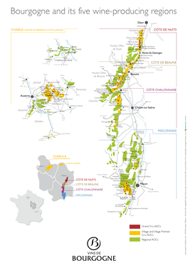 Bourgogne and Its Five Wine-Producing Regions