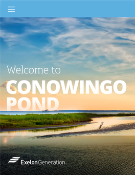 Recreation on Conowingo Pond