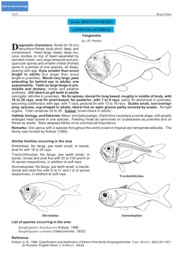 Order BERYCIFORMES ANOPLOGASTRIDAE Anoplogaster