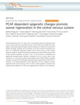 PCAF-Dependent Epigenetic Changes Promote Axonal Regeneration in the Central Nervous System