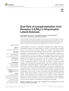 In Amyotrophic Lateral Sclerosis