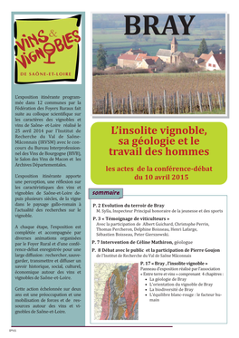 Bray / L'insolite Vignoble, Sa Géologie Et Le Travail Des Hommes