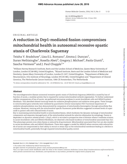 A Reduction in Drp1-Mediated Fission Compromises