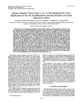 Herpes Simplex Virus Type 1 Oril Is Not Required for Virus Infection In