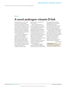 A Novel Androgen–Vitamin D Link