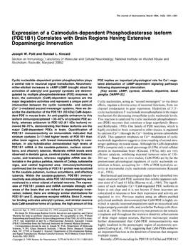 (PDE 1 B 1) Correlates with Brain Regions Having Extensive Dopaminergic Innervation