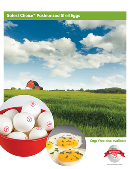 Safest Choice™ Pasteurized Shell Eggs