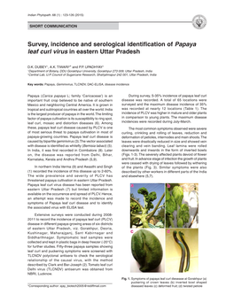 Survey, Incidence and Serological Identification of Papaya Leaf Curl Virus in Eastern Uttar Pradesh