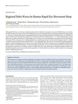 Regional Delta Waves in Human Rapid Eye Movement Sleep