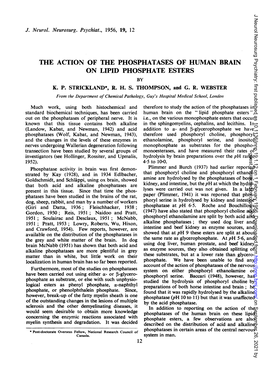 The Action of the Phosphatases of Human Brain on Lipid Phosphate Esters by K