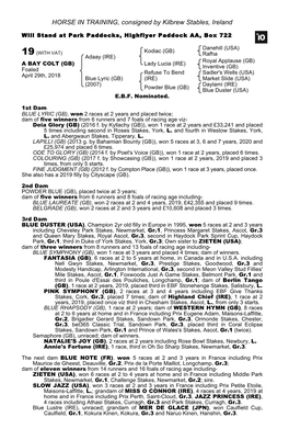 HORSE in TRAINING, Consigned by Kilbrew Stables, Ireland