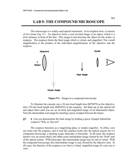 Lab 11: the Compound Microscope