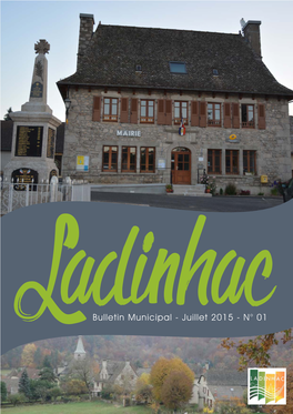 Ladinhacbulletin Municipal - Juillet 2015 - N° 01 Site Internet : Un Début Encourageant !