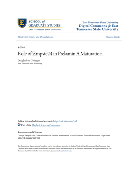 Role of Zmpste24 in Prelamin a Maturation. Douglas Paul Corrigan East Tennessee State University