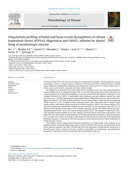 Ubiquitylome Profiling of Parkin-Null Brain Reveals Dysregulation Of