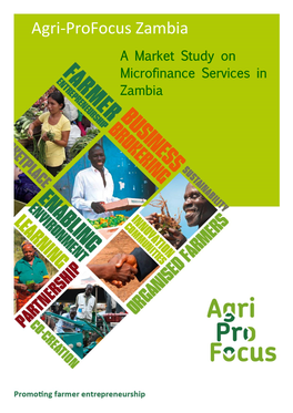 A Market Study on Micro Finance Services in Zambia 2014
