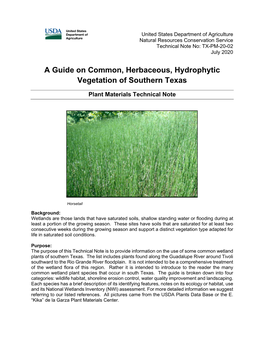 A Guide on Common, Herbaceous, Hydrophytic Vegetation of Southern Texas