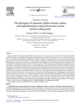 The Phylogeny of Squamate Reptiles (Lizards, Snakes, and Amphisbaenians) Inferred from Nine Nuclear Protein-Coding Genes