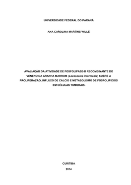 ANA CAROLINA MARTINS WILLE.Pdf