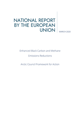 National Report by the European Union 2020