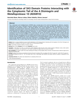 Identification of SH3 Domain Proteins Interacting with the Cytoplasmic Tail of the a Disintegrin and Metalloprotease 10 (ADAM10)