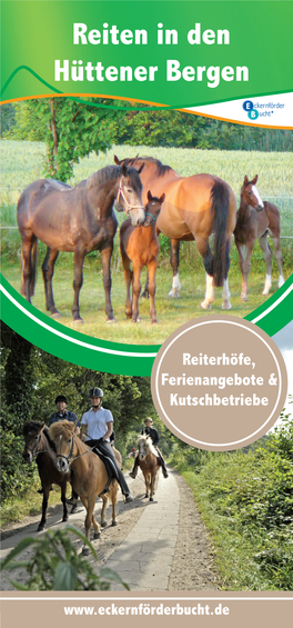 Reiten in Den Hüttener Bergen