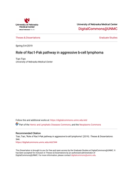 Role of Rac1-Pak Pathway in Aggressive B-Cell Lymphoma