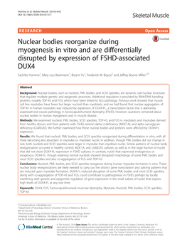 Nuclear Bodies Reorganize During Myogenesis in Vitro and Are