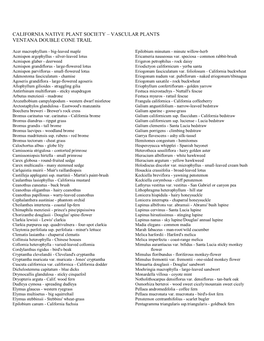 Vascular Plants Ventana Double Cone Trail