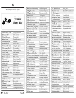 Vascular Plants of Kluane