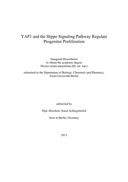 YAP1 and the Hippo Signaling Pathway Regulate Progenitor Proliferation