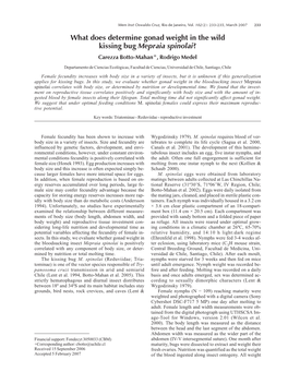 What Does Determine Gonad Weight in the Wild Kissing Bug Mepraia Spinolai? Carezza Botto-Mahan+, Rodrigo Medel