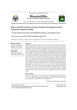 Effect of Red Fruit Oil on Ovarian Follicles Development in Rat Exposed to Cigarette Smoke