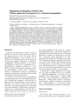 Degradation of Glutathione in Plant Cells