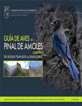 02 Guia Aves Pinal Bucareli I