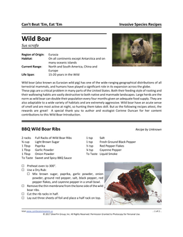 Wild Boar Sus Scrofa