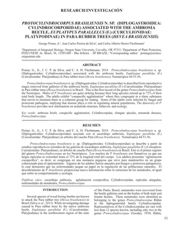 Research/Investigación Protocylindrocorpus