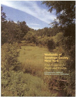 Wetlands of Saratoga County New York