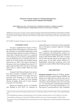 INTRODUCTION Elaeagnus Established by Linnaeus