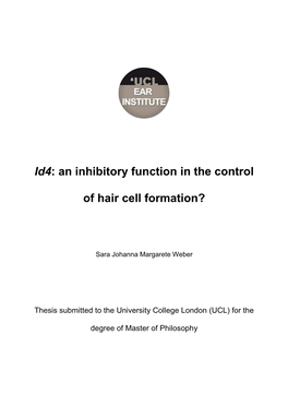 Id4: an Inhibitory Function in the Control