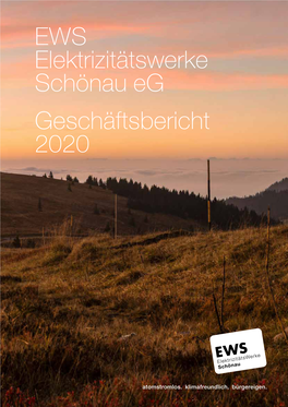 Geschäftsbericht 2020 – Mit Einzelabschluss