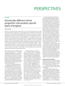 Intrinsically Different Retinal Progenitor Cells Produce Specific Types Of