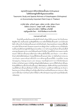 Orthoptera) ในพืชไร่เศรษฐกิจที่ส าคัญของประเทศไทย Taxonomic Study and Species Richness of Grasshoppers (Orthoptera) on Economically Important Field Crops in Thailand