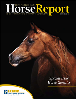 Special Issue Horse Genetics DIRECTOR’S Message