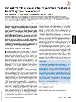 The Critical Role of Cloud–Infrared Radiation Feedback in Tropical Cyclone Development