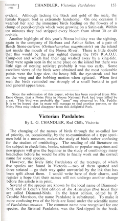 Victorian Pardalotes 153 1961