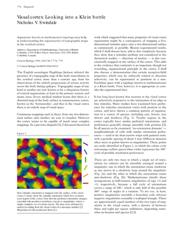 Visual Cortex: Looking Into a Klein Bottle Nicholas V