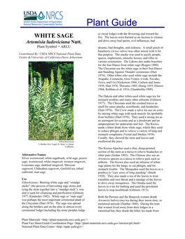 WHITE SAGE Fire